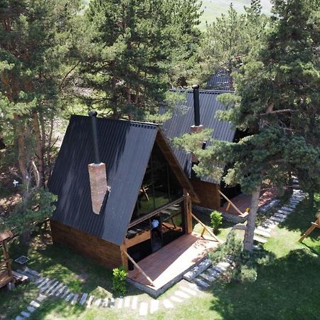 Elia Loft Villa Kazbegi Kültér fotó